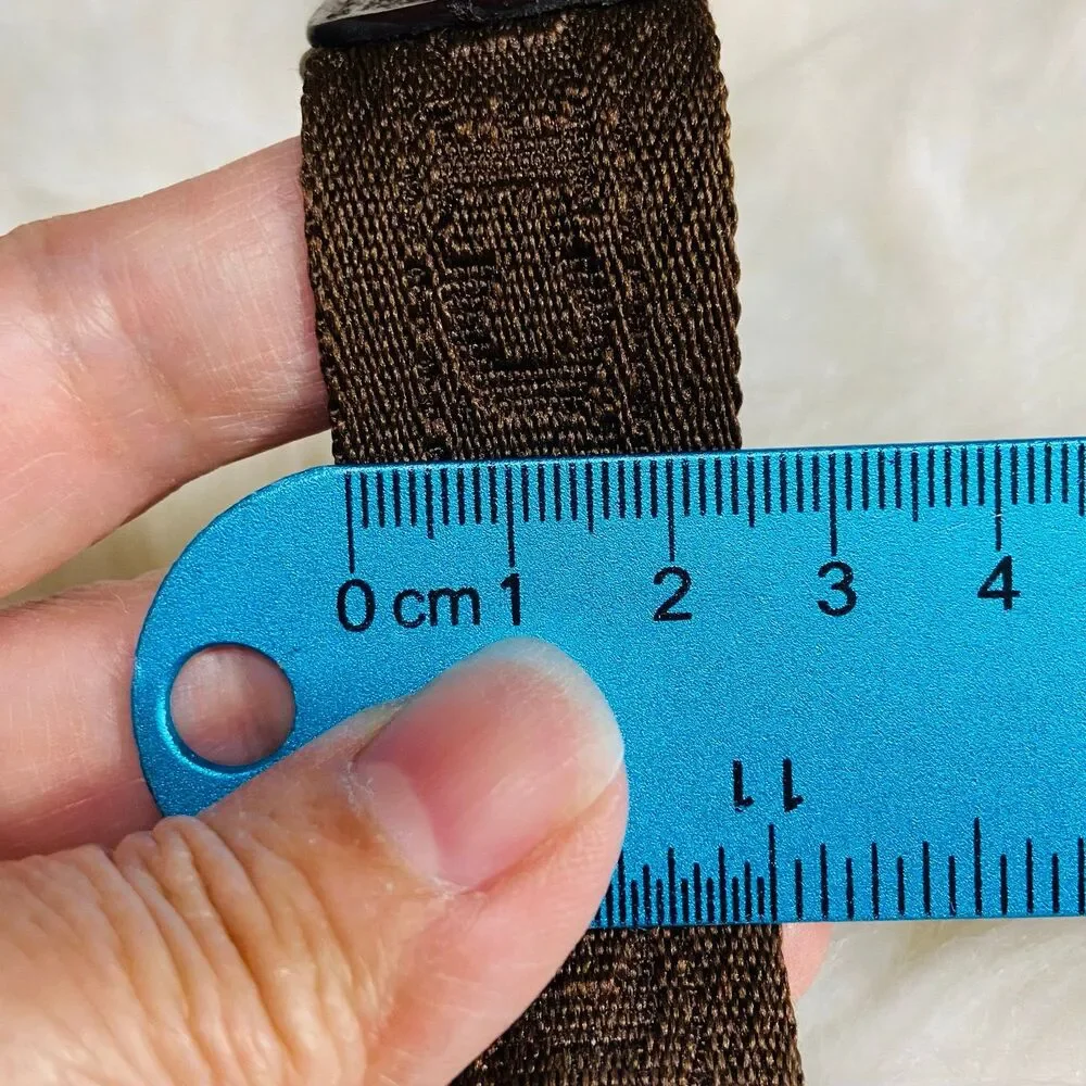 Brown Coach Webbing Strap